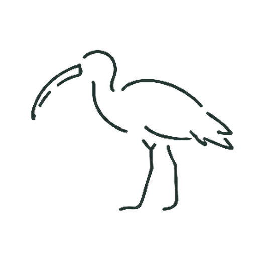 とき