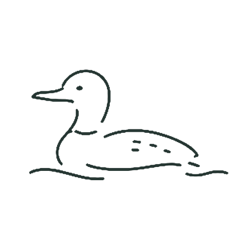 あひる