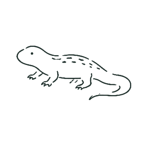 さんしょううお