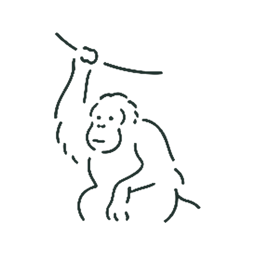 オランウータン