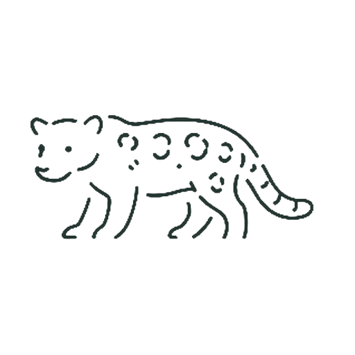チーター
