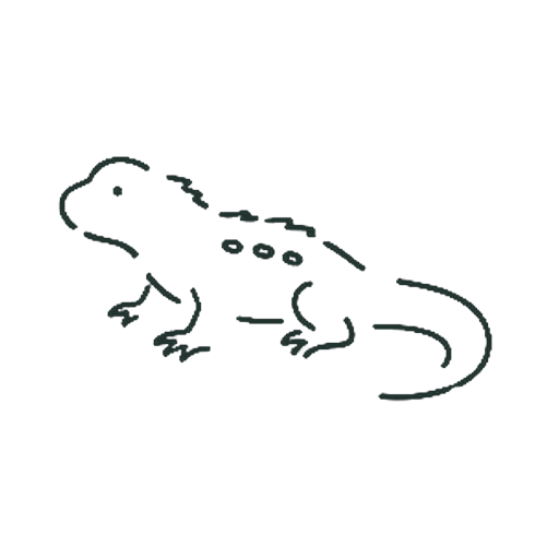 いぐあな