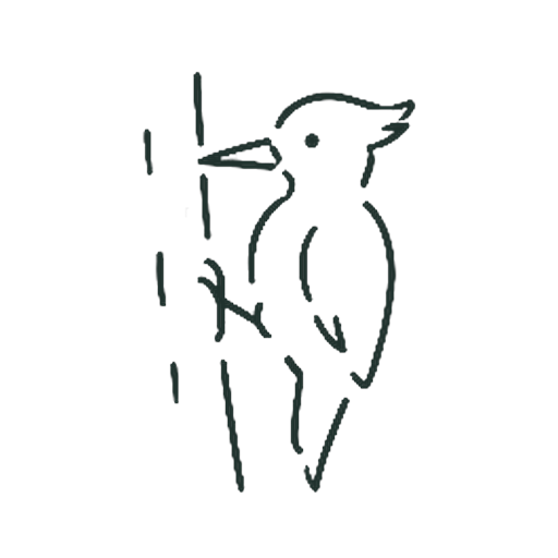 きつつき