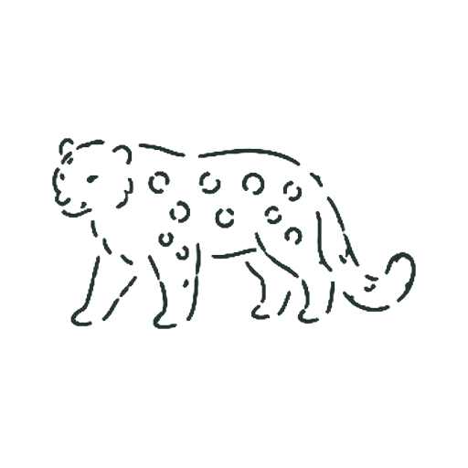 ヒョウ