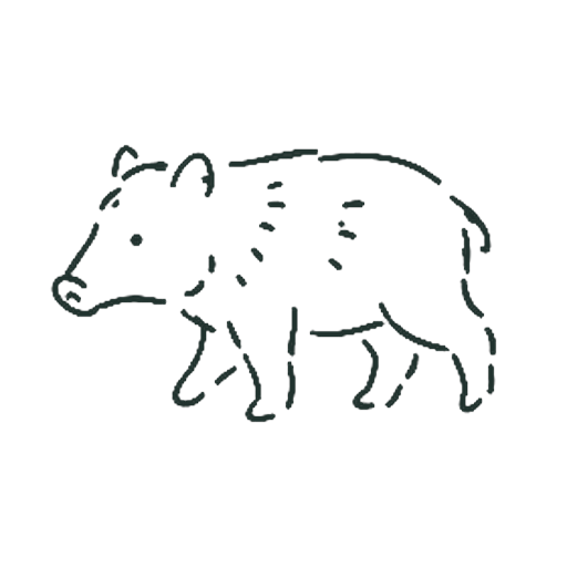 いのしし